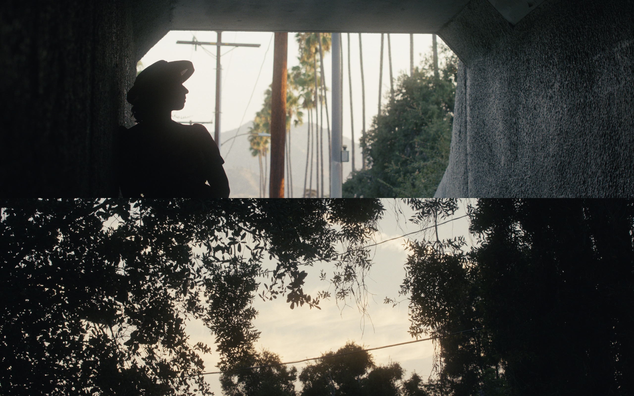 Black Pro Mist ¼ - Physical Filter