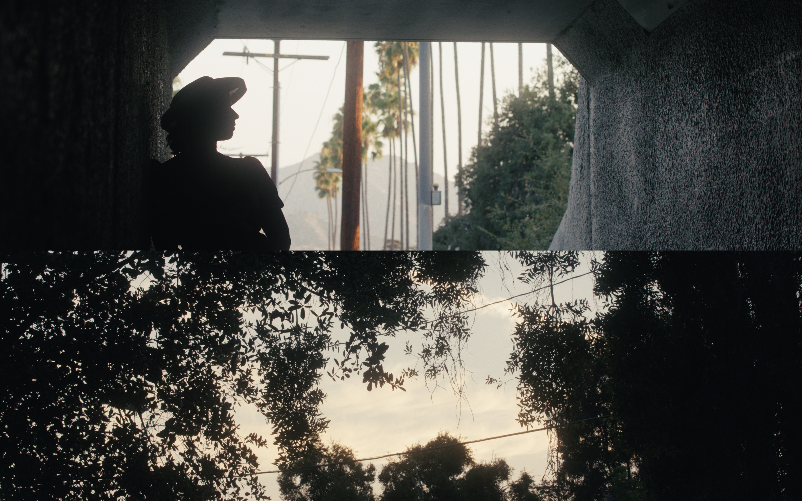 Black Pro Mist ¼ - Scatter