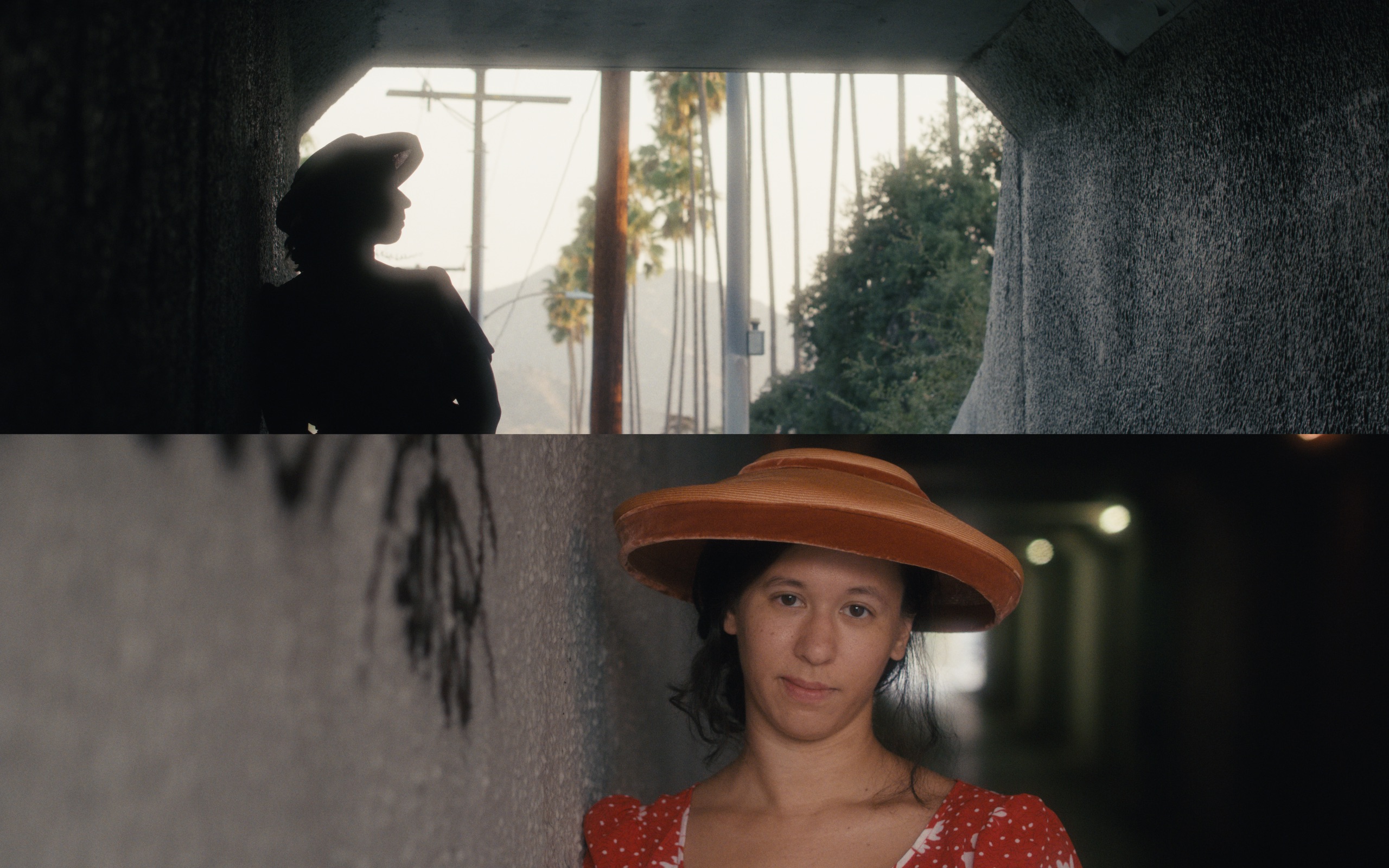 Hollywood Black Magic ½ - Physical Filter